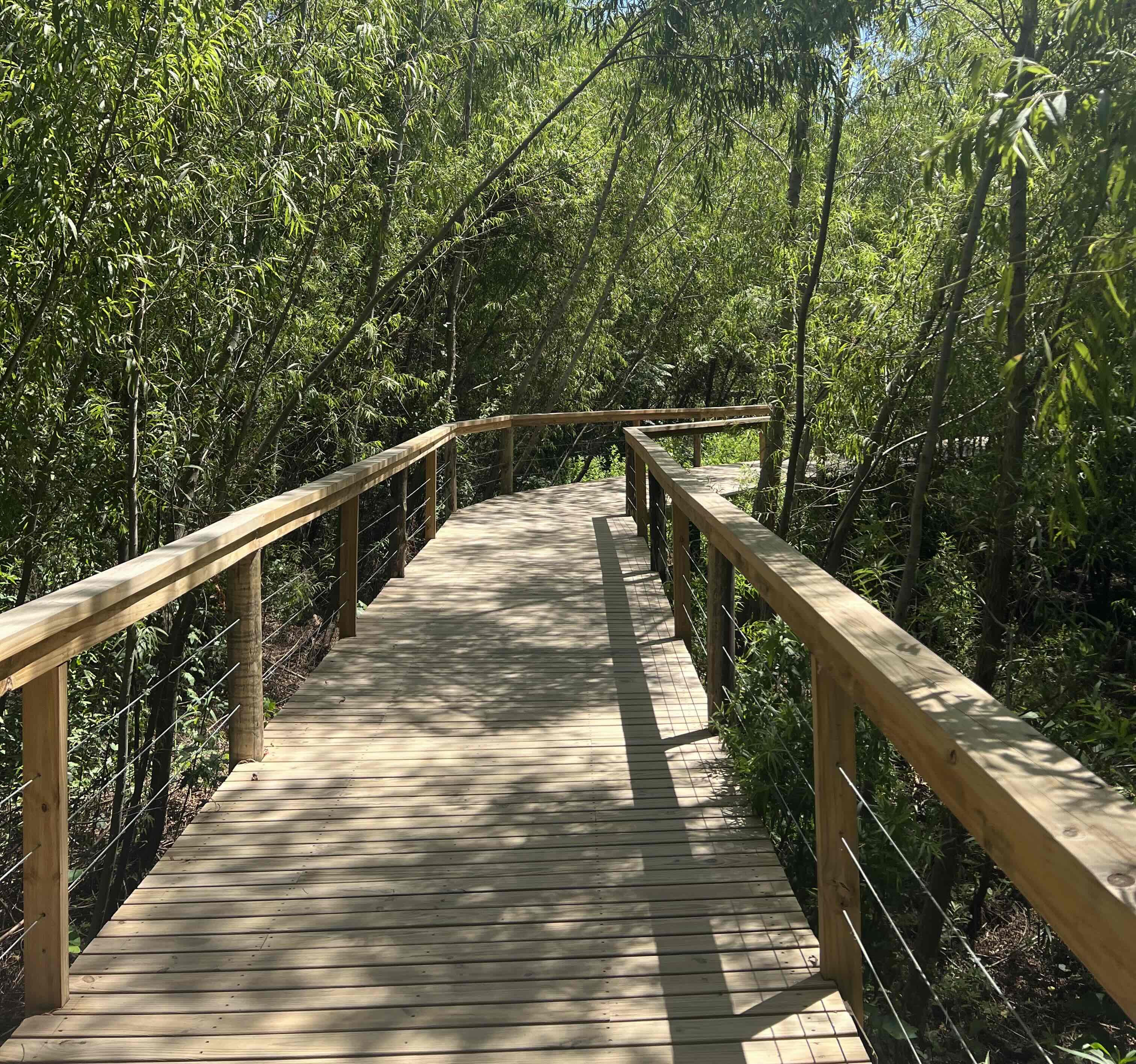View of walk in Reserva Ecológica Costanera Sur.