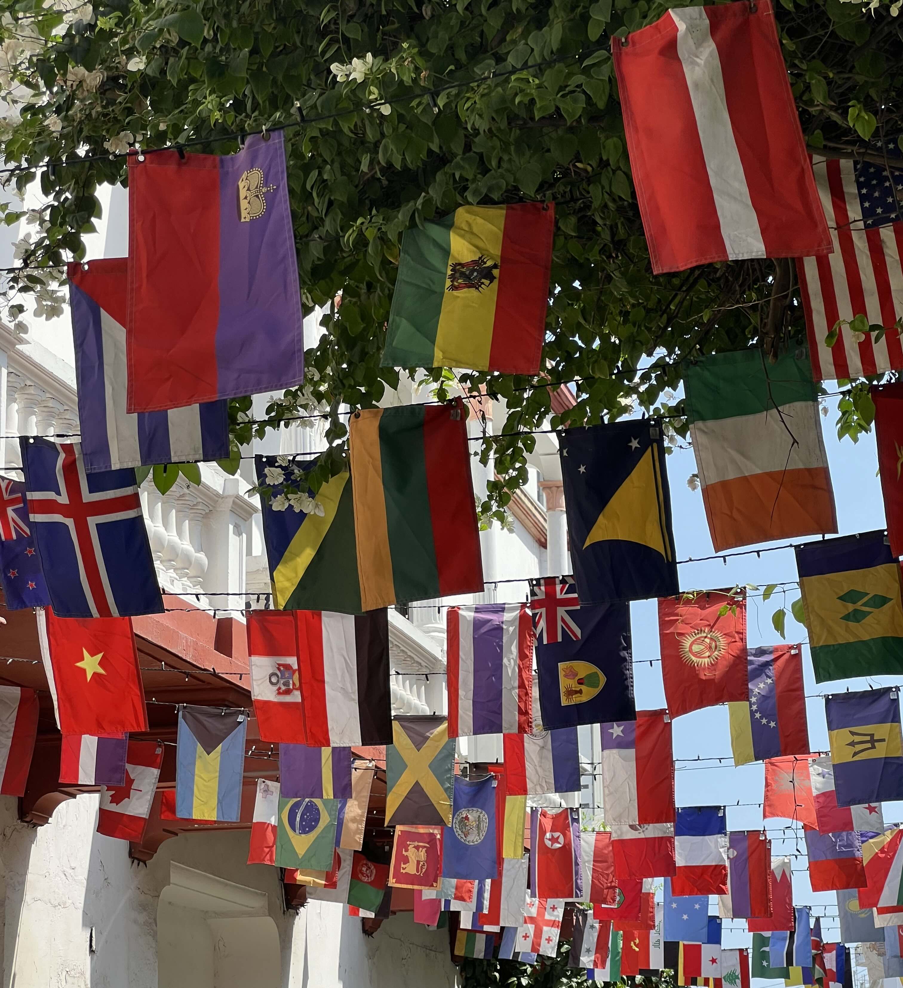 An array of international flags (including one that looks like Lithuanian) hung across a street, with green foliage peeking through.